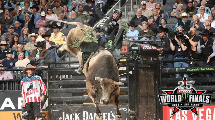 SweetPro’s Bruiser wins 2018 World Champion Bull title