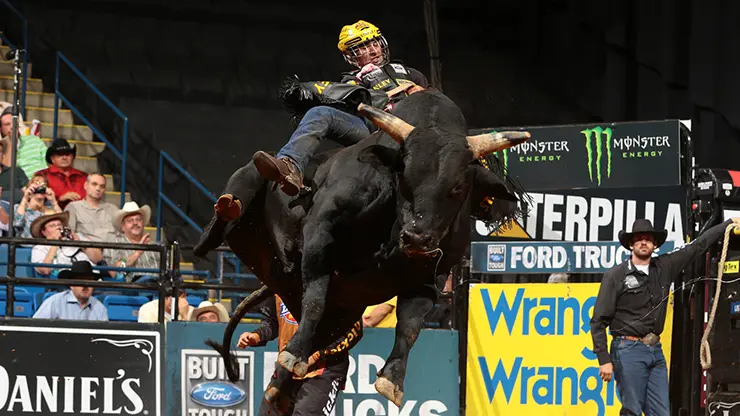 In the bull pen: Hollywood