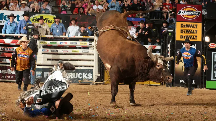 Bushwacker wins 2013 World Champion Bull title