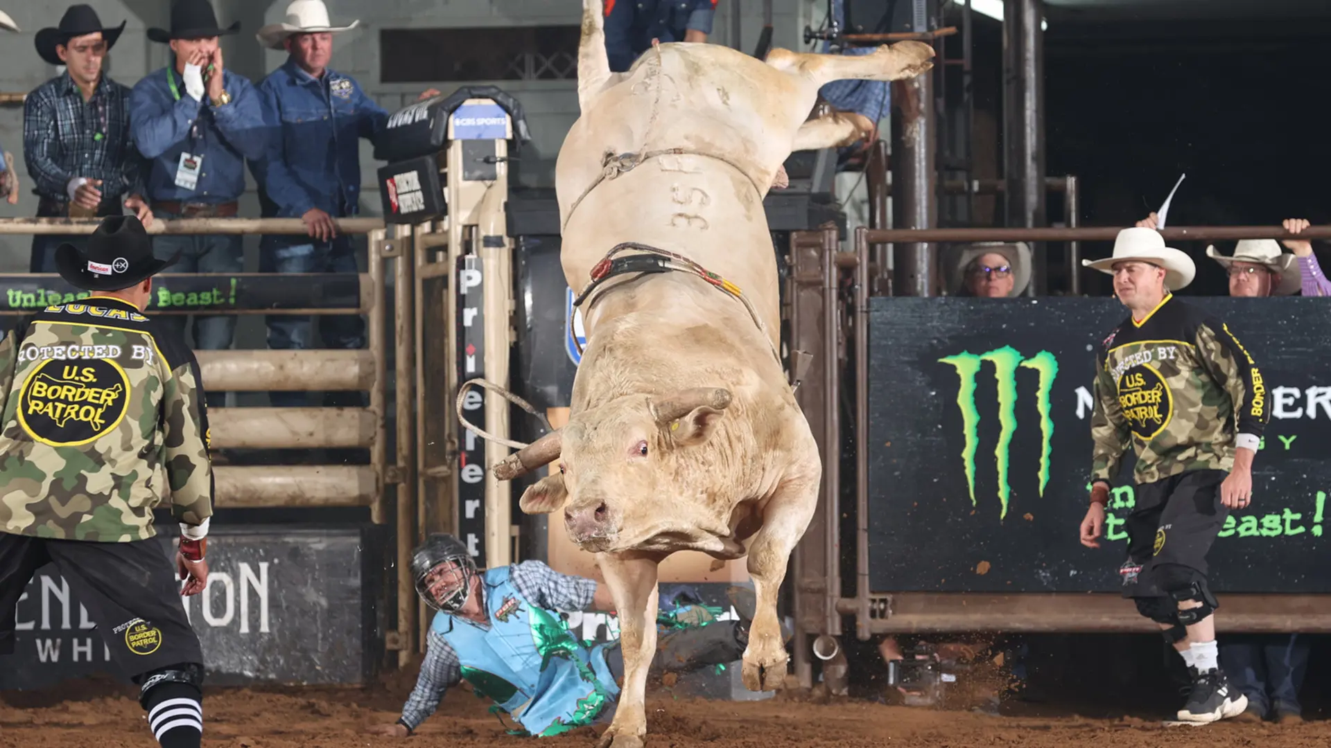 Cool Whip ties Bushwacker’s record streak of 42 consecutive buckoffs