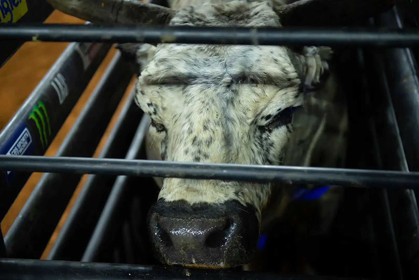 f230c236-f519-48de-96d3-d793b4ade4d6