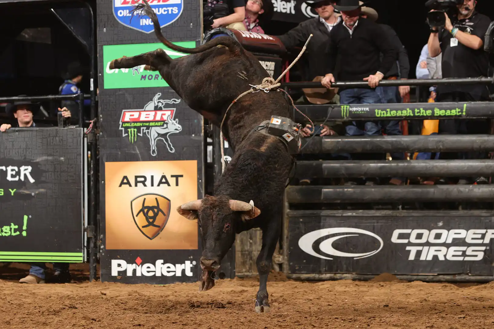 df4c99cb-b3fc-423e-adbd-d317f29ceb20